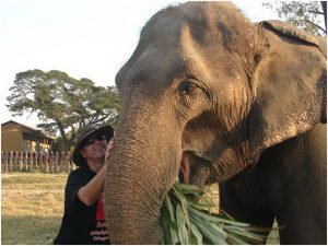 Testimonials 2007 Steve and Trudy kissing elephant