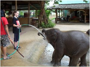 Testimonials 2007 Maddie (age 11) - Steph (age 13) baby elephant drinking