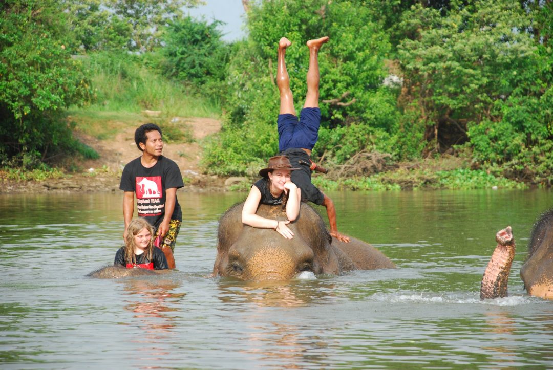 Elephant experience