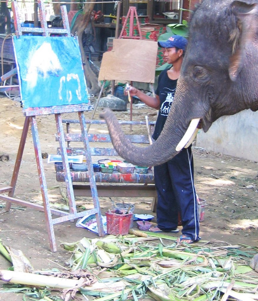 About Us Information about Elephantstay and facts about Asian elephants