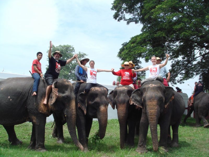 working elephant village. Our guests having a great time with our elephants