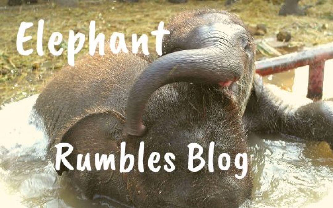 Welcome to our new blog