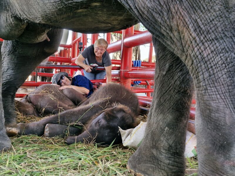 Hall of Fame Bronze member Linda Reifschneider
